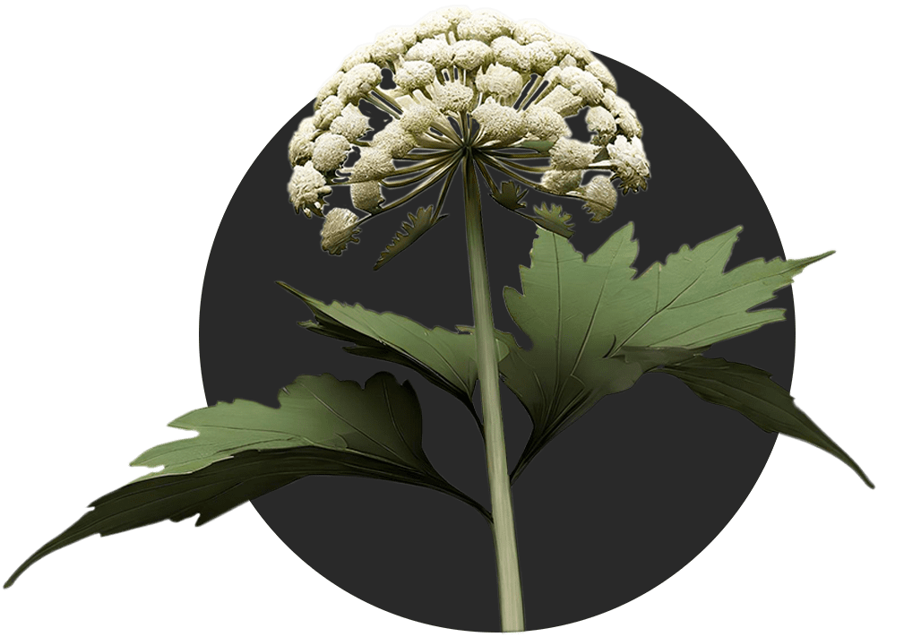 Борщевик - уничтожение в пос. им. Свердлова